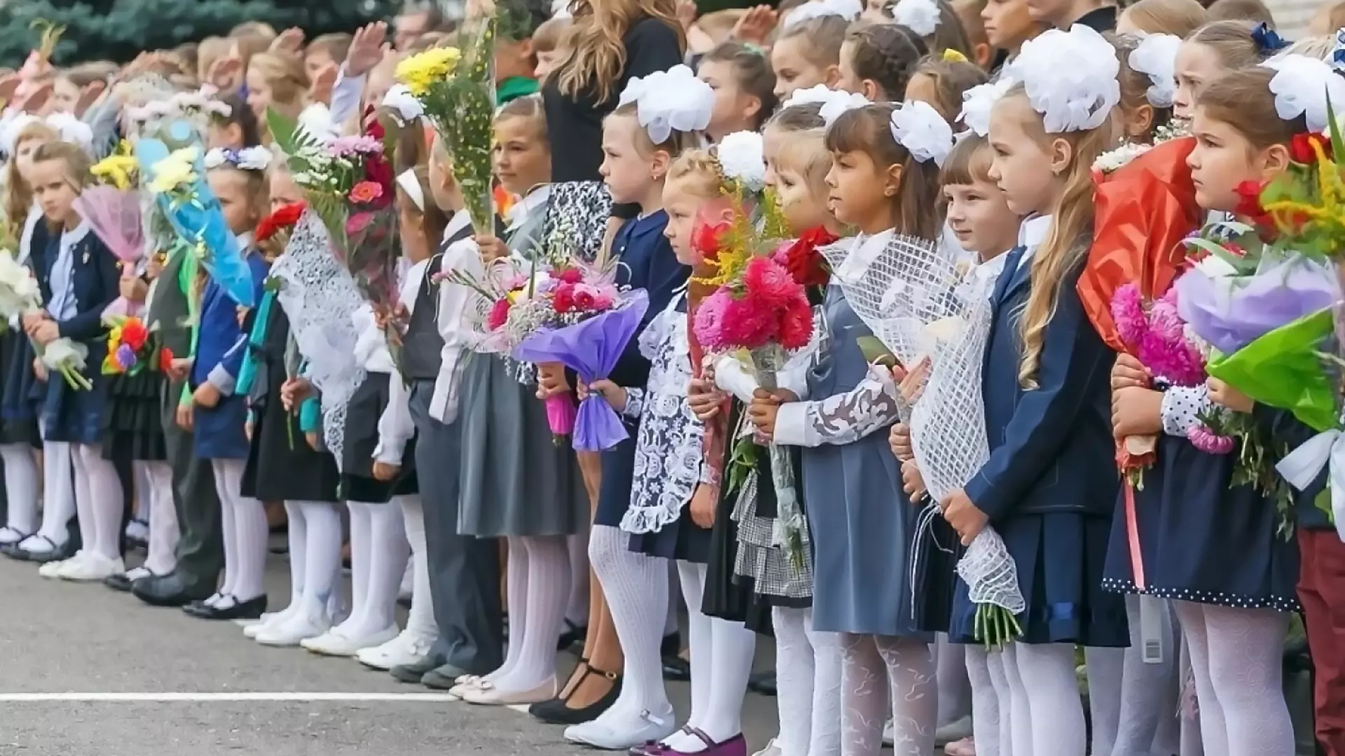 Новые школу и детский сад построят в Петергофе 