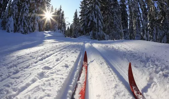 Лыжная трасса открылась в Приморском парке Победы
