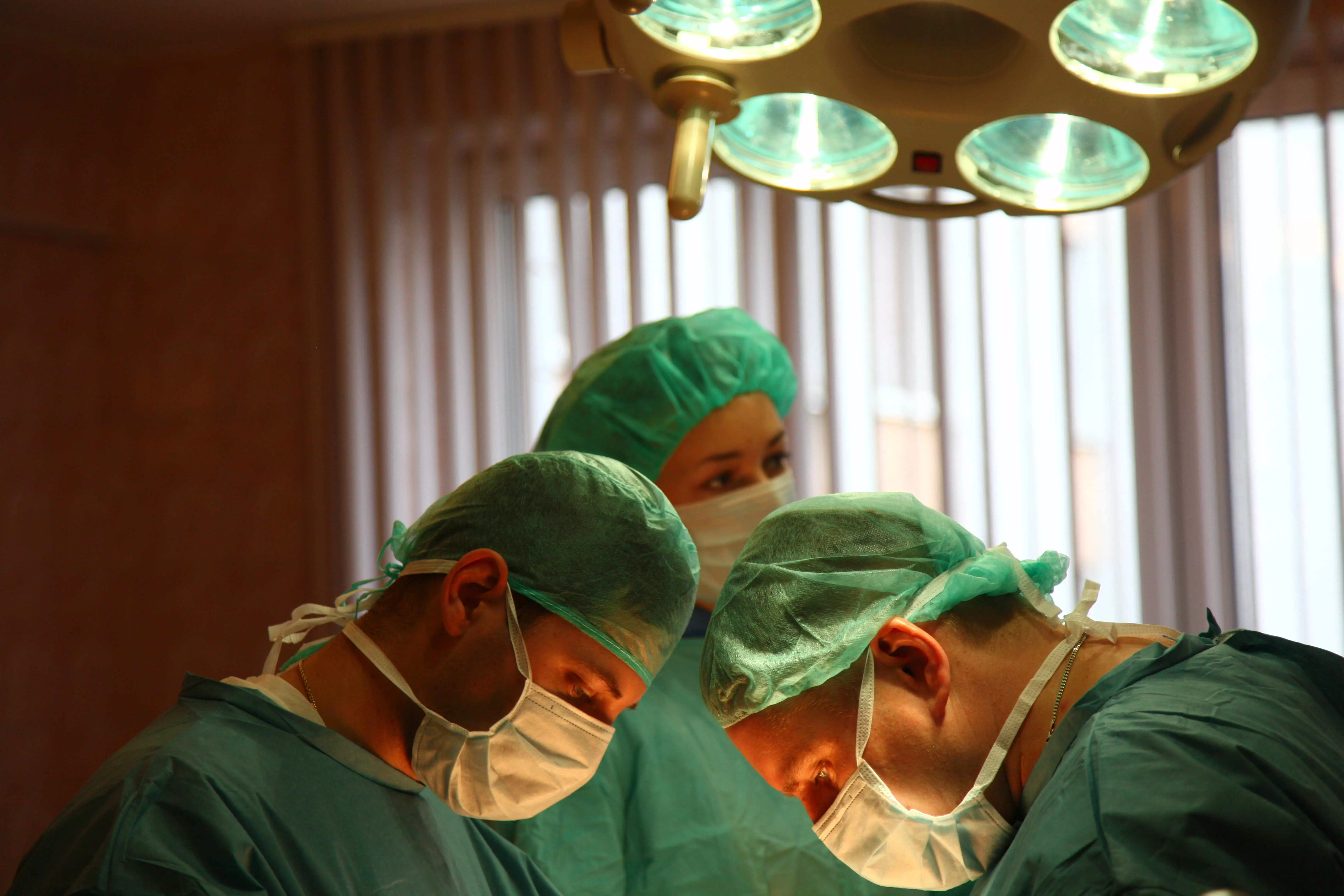 В Петербурге ростет число операций по пересадке органов