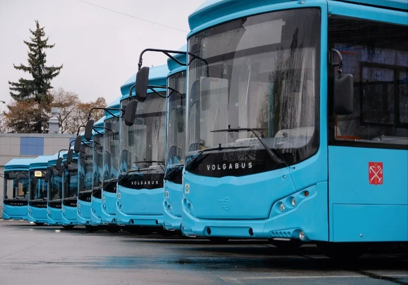 Новые автобусы выйдут на улицы города