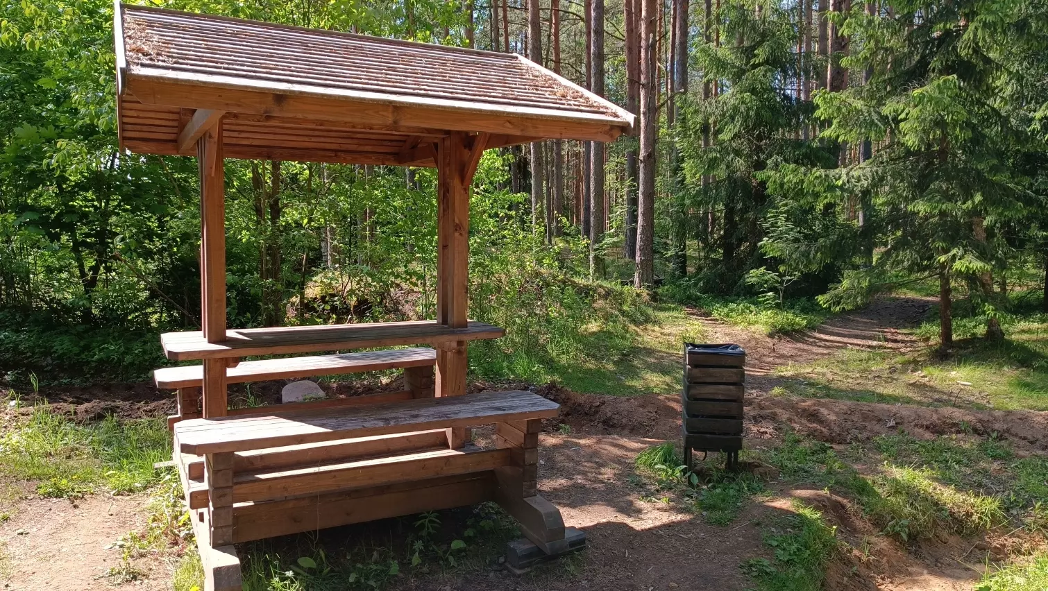 45 площадок для отдыха на природе подготовили в лесах Санкт-Петербурга