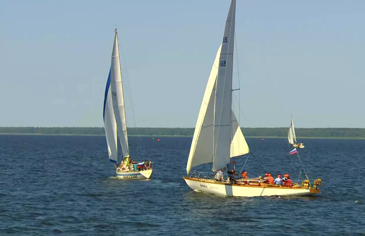 Врачи Петербурга участвуют в благотворительном регате