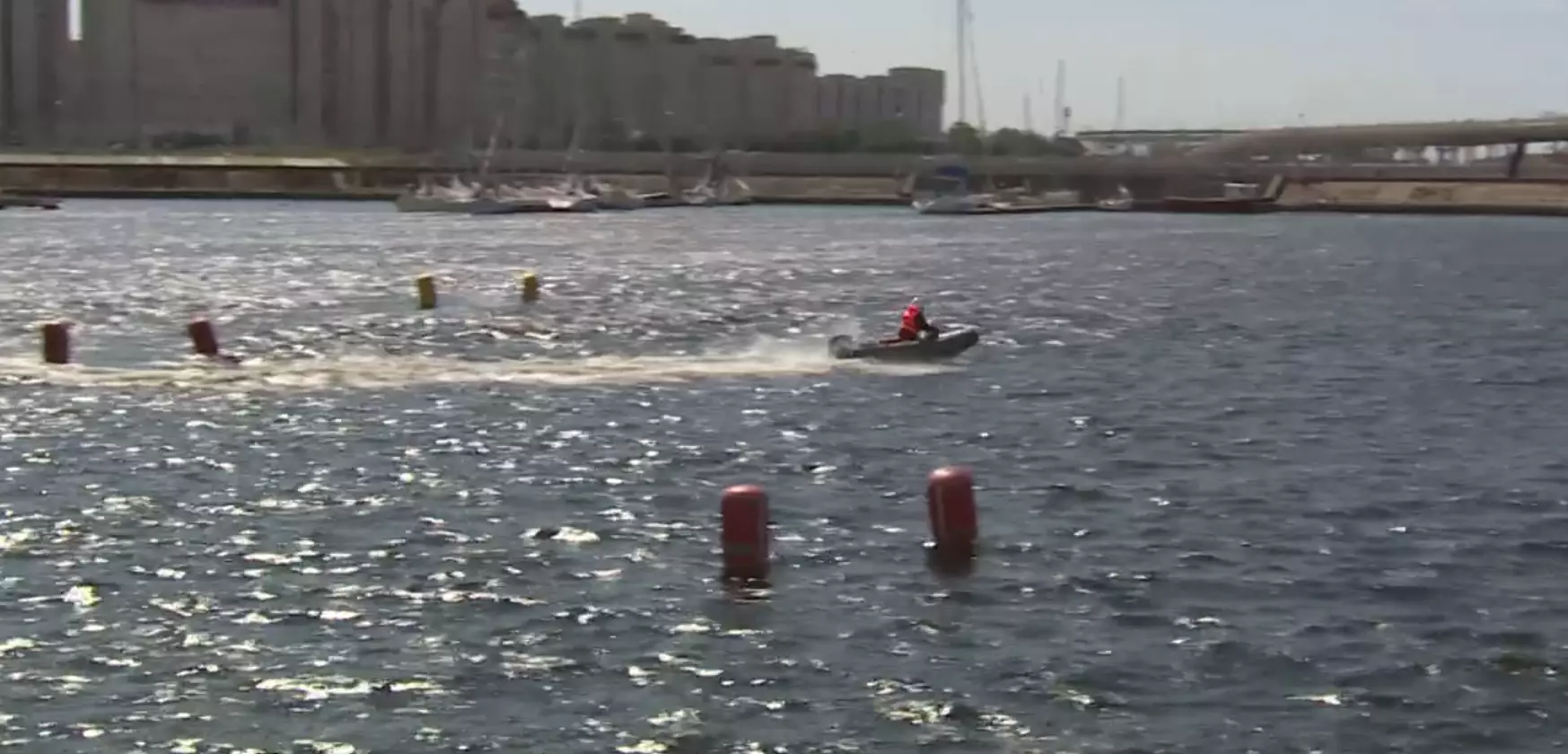 Соревнования среди молодых яхтсменов провели в гавани Санкт-Петербурга