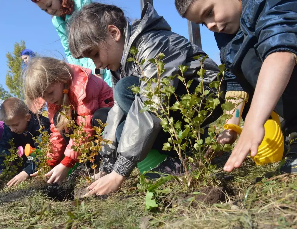 Аграрные технологии начнут изучать в школе Санкт-Петербурга