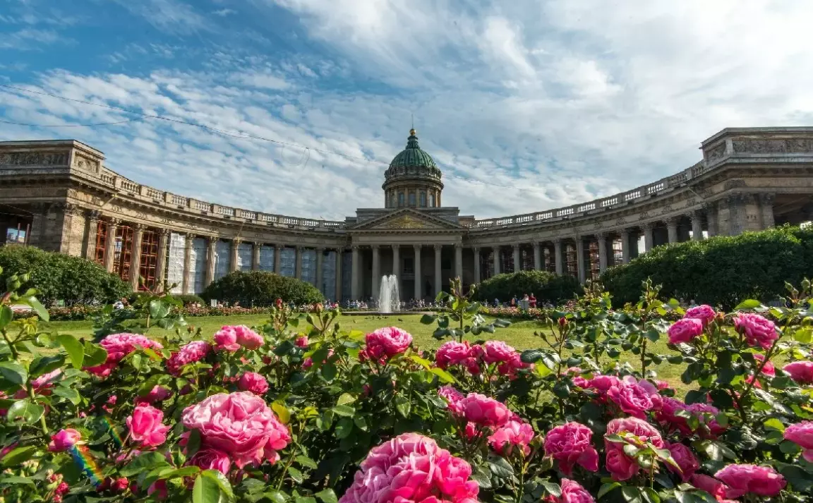 В Санкт-Петербурге высажено 111 сортов цветов