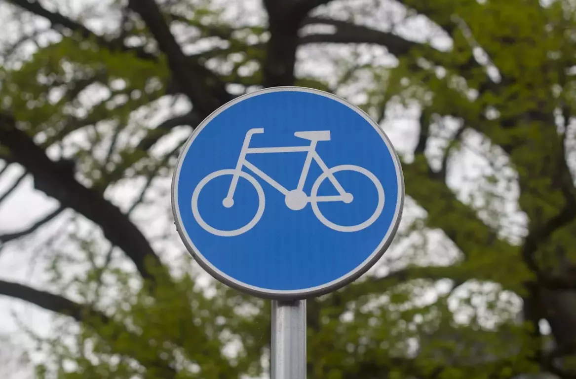 Петербуржцы поддержали развитие городской велоинфраструктуры