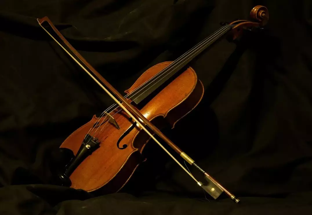 Фестиваль скрипки пройдет в Санкт-Петербурге