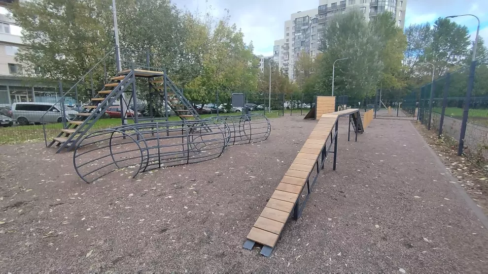 До конца 2023 года в Сакнт-Петербурге появится 6 площадок для выгула собак
