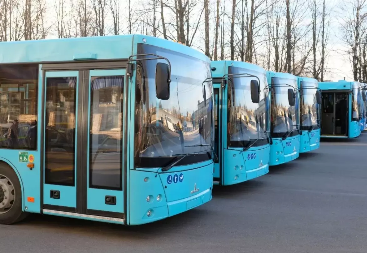 Два автобуса запустят по направлению «Санкт-Петербург - Новосаратовка»