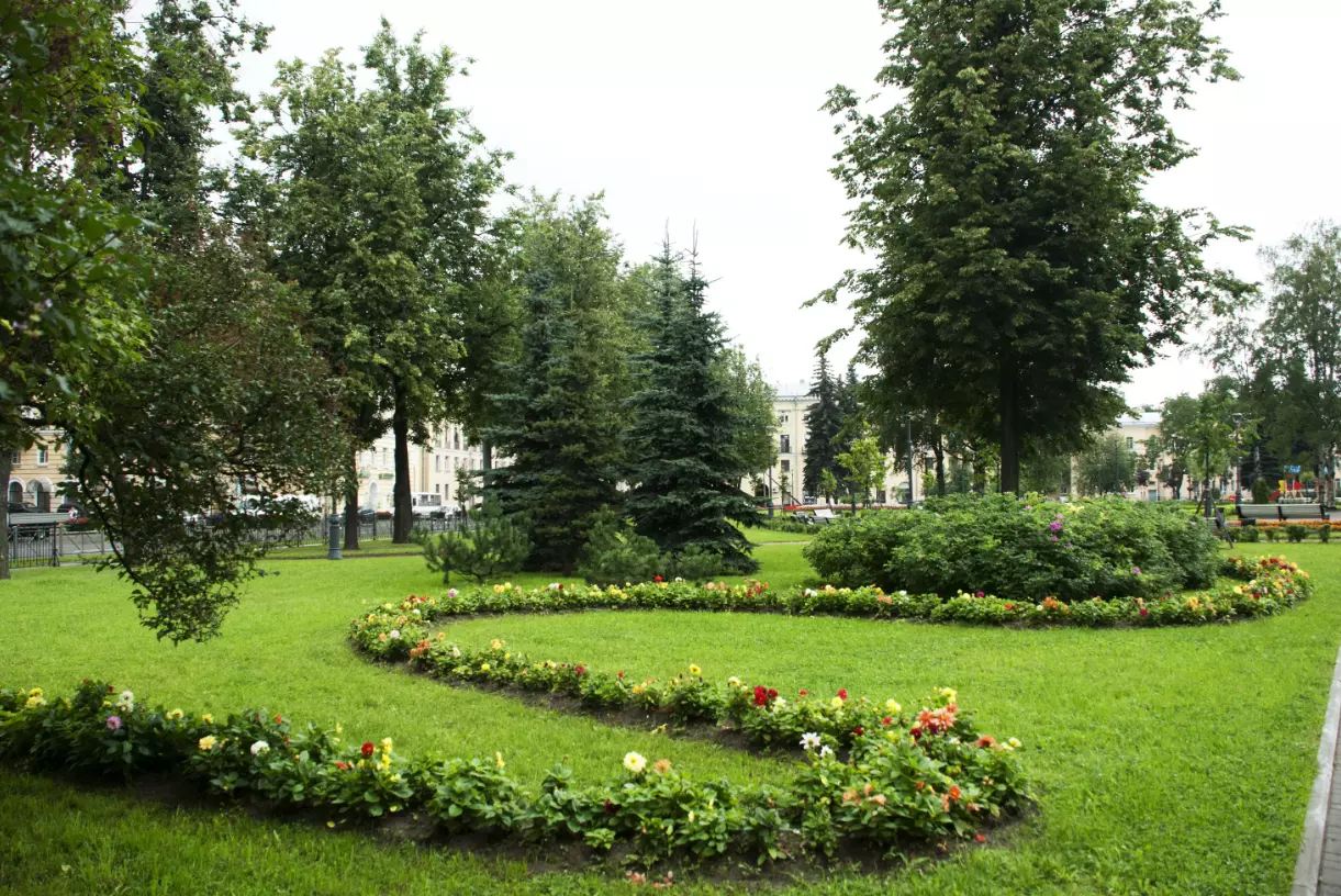 29% от общей площади Санкт-Петербурга займут озелененные территории