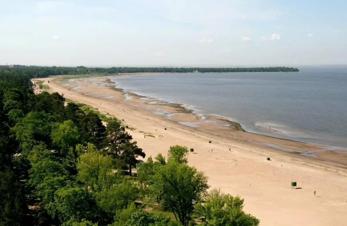 В Сестрорецке начались работы по благоустройству площадки рядом с пляжем «Северный»