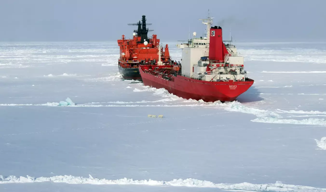 Научную конференцию «Мировое историко-культурное наследие Арктики» начали проводить в Санкт-Петербурге