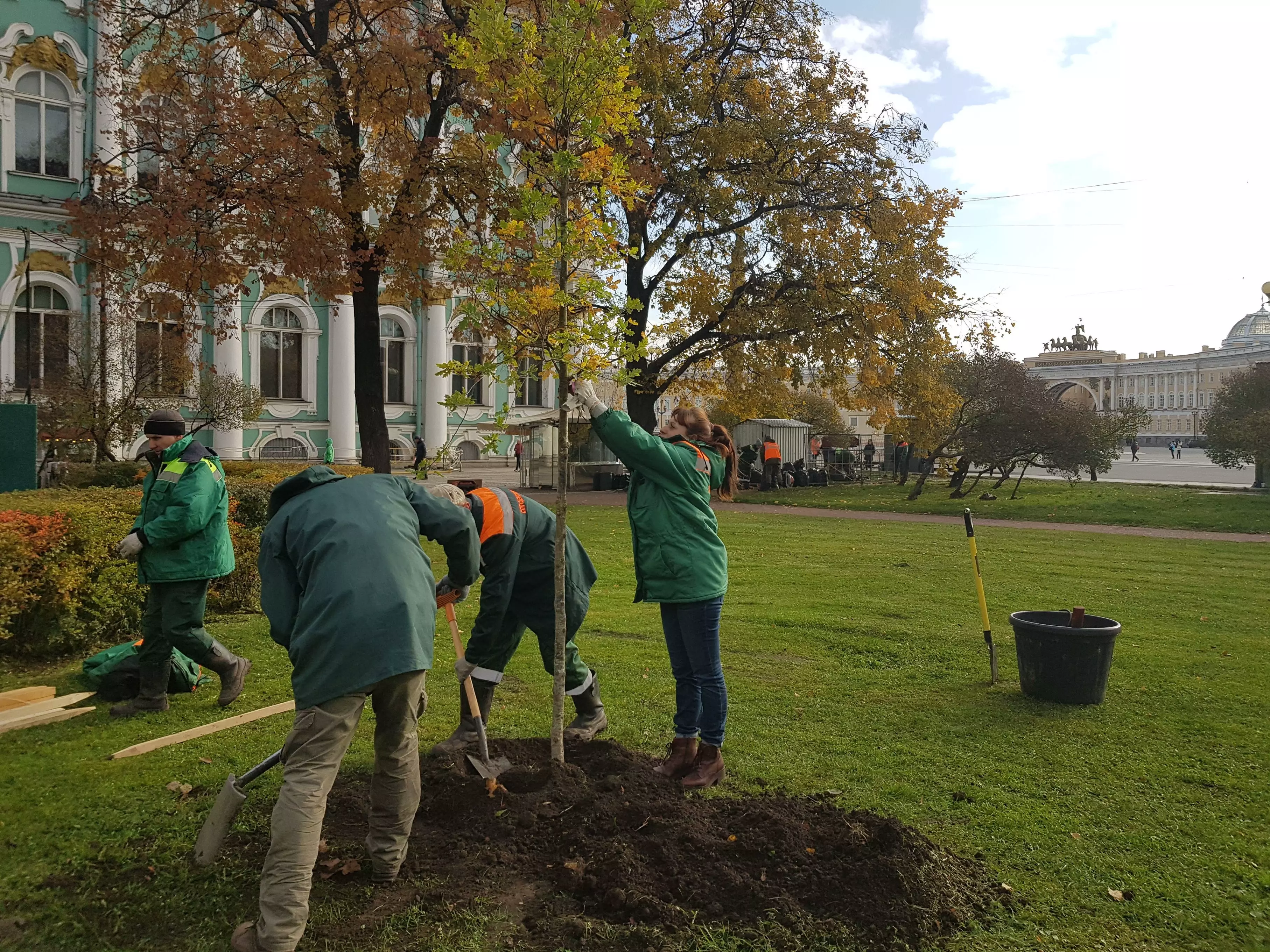 В Петербурге проходит акция по посадке деревьев жителями города
