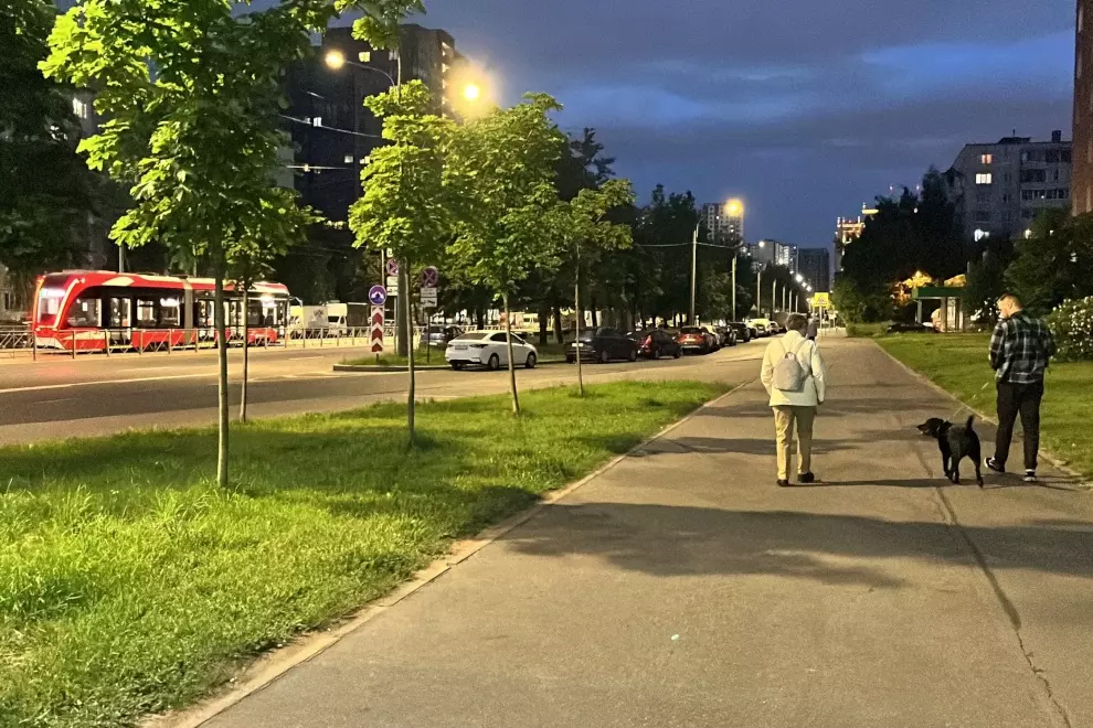 На улице Дыбненко модернизируют наружное освещение