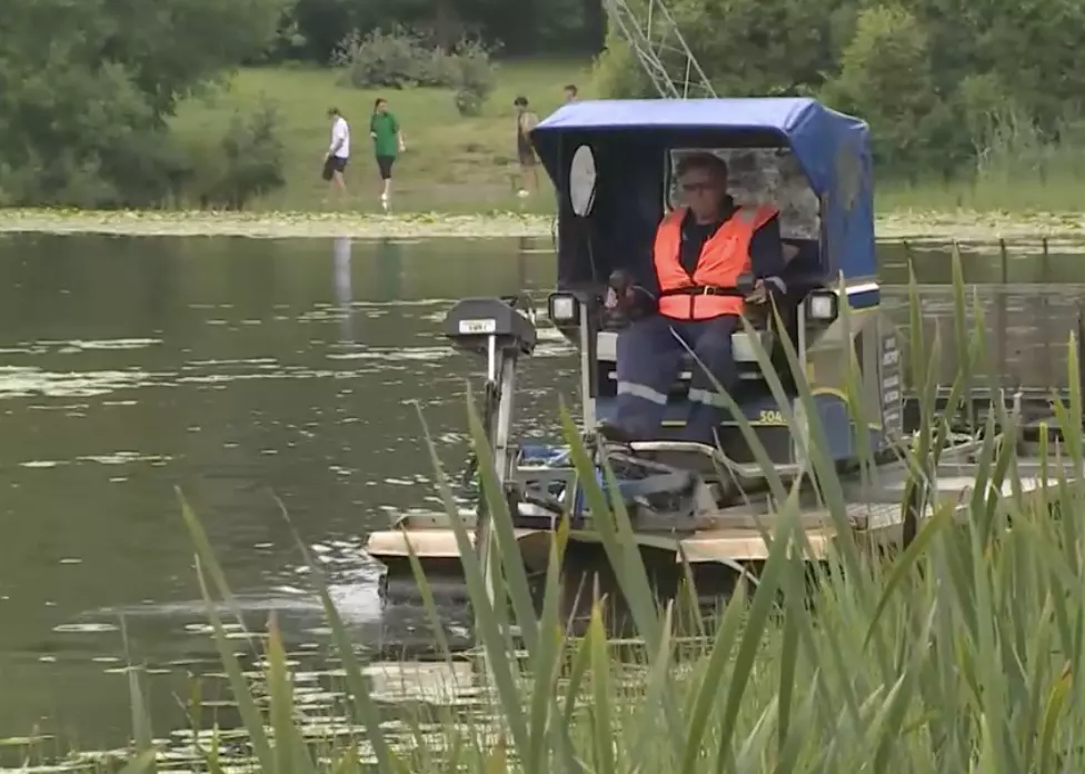 На Суздальском озере проходят работы по очищению водоема