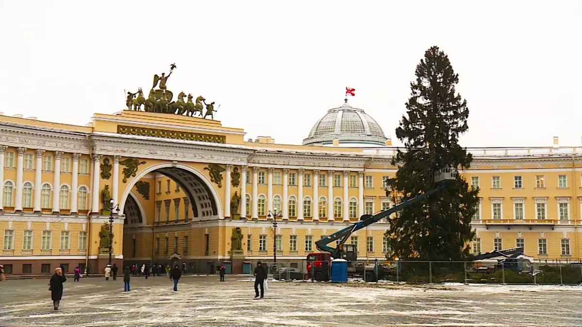 Главная городская ель – уже на Дворцовой площади