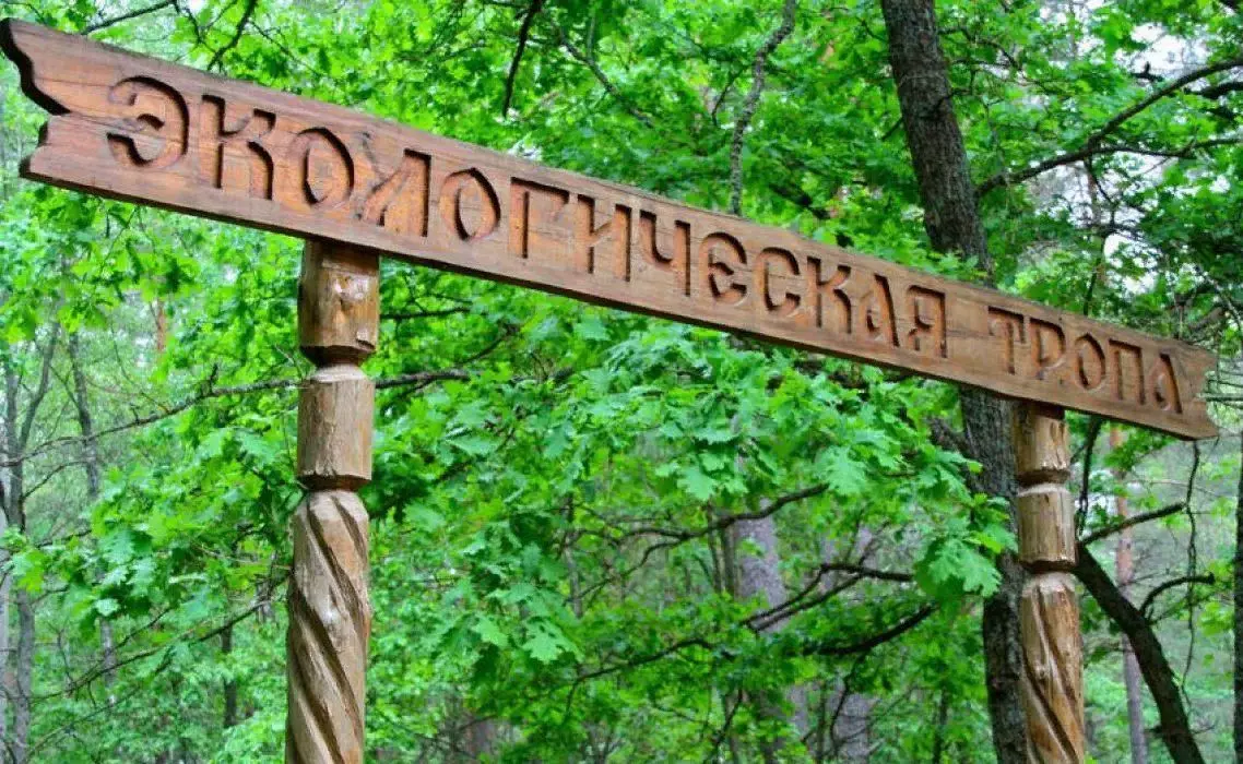 В городе продолжает развиваться система зеленых общественных пространств