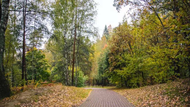 Безымянным территориям зелёных насаждений  присвоены наименования выдающихся петербуржцев