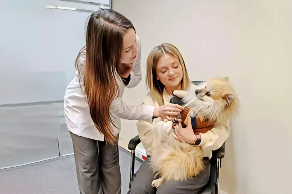 На  ветеринарных станциях  внедряется  система экспресс-диагностики состояния здоровья питомцев