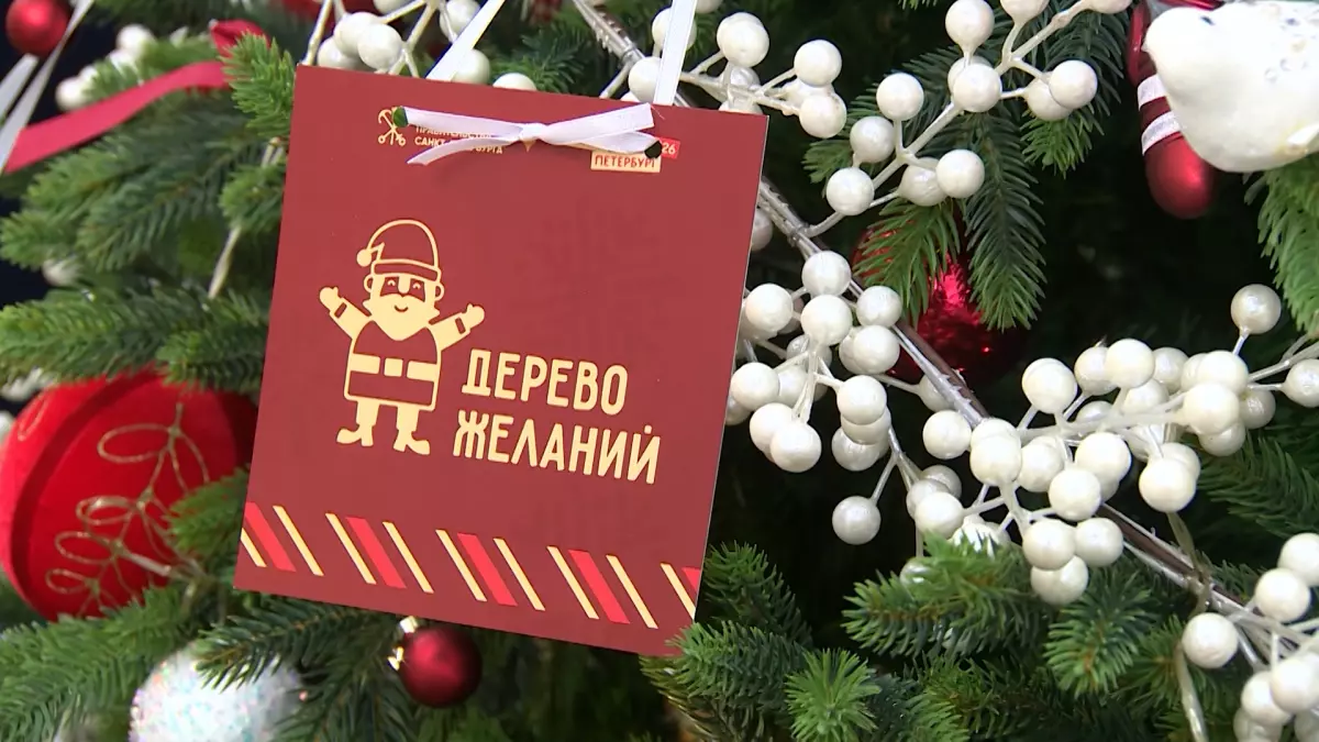 Александр Беглов дал старт традиционной новогодней благотворительной акции «Дерево желаний»