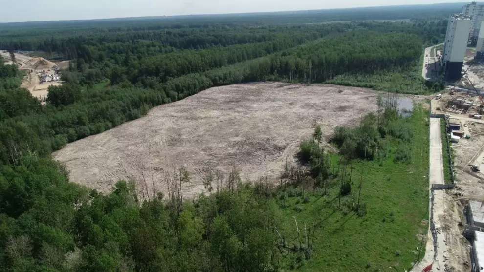 За 2025 год Петербург ликвидировал 241 несанкционированную свалку отходов