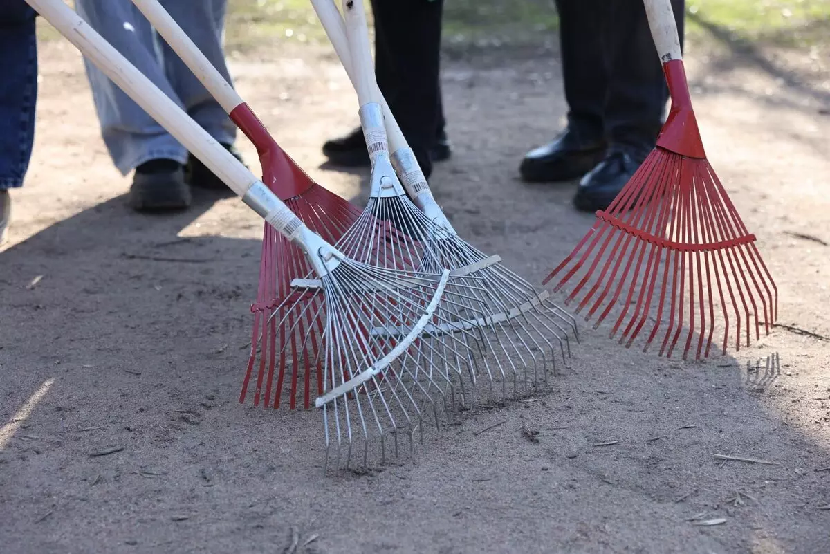 За 2025 год в городе ликвидировали более 200 несанкционированных свалок
