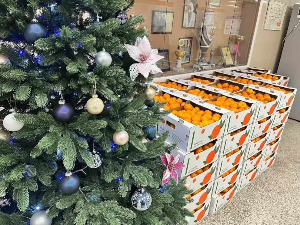 В преддверии новогодних праздников социальные учреждения и стационары  получат 10 тонн мандаринов 