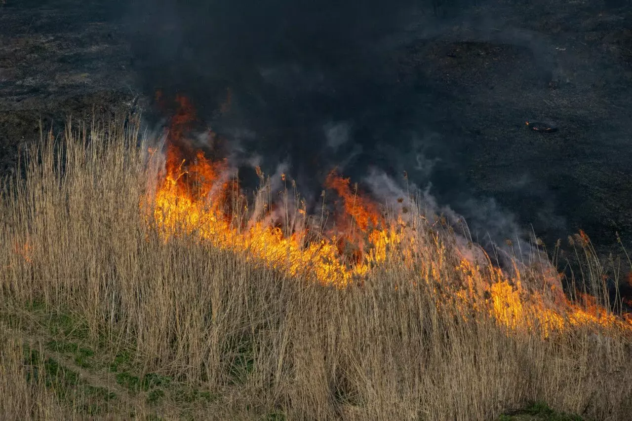 Пожароопасный сезон в городе планируется установить с 15 апреля