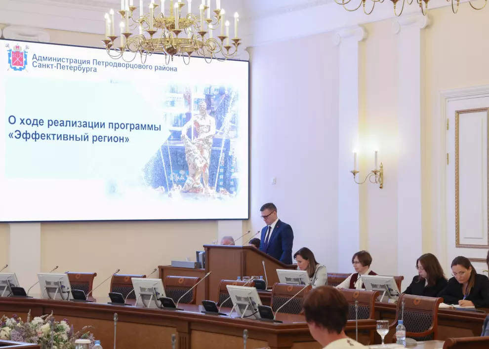 Администрация Петродворцового района инициировала 17 проектов программы «Эффективный регион»